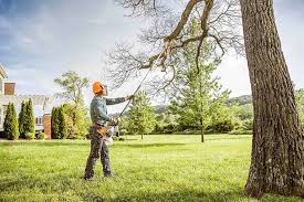 Best Tree Maintenance Programs  in Fond Du Lac, WI